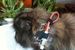 Marta-with-Kitty-Kollar-and-long-tube