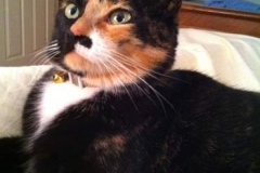 Rudee-in-Florida-waits-for-Kitty-Kollar